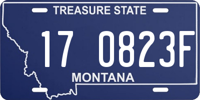 MT license plate 170823F