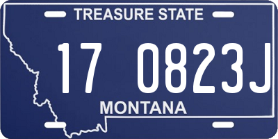 MT license plate 170823J