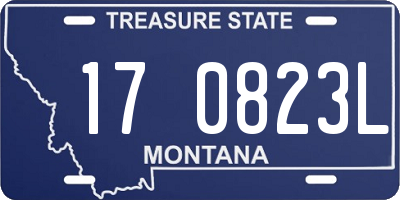 MT license plate 170823L