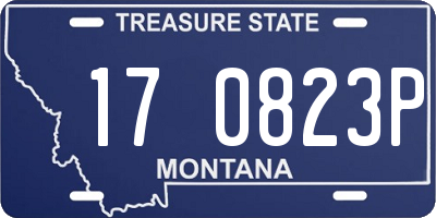 MT license plate 170823P