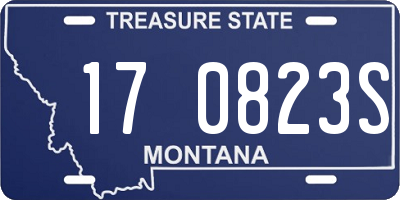 MT license plate 170823S