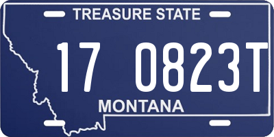 MT license plate 170823T