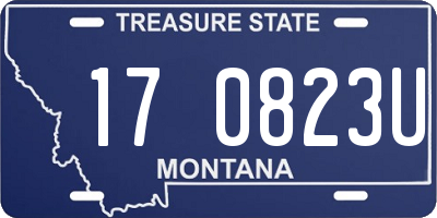 MT license plate 170823U