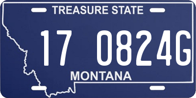 MT license plate 170824G