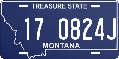 MT license plate 170824J