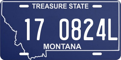 MT license plate 170824L