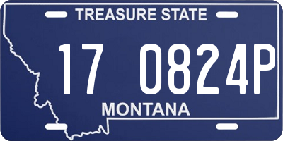 MT license plate 170824P