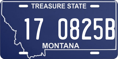 MT license plate 170825B