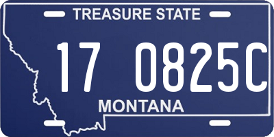 MT license plate 170825C