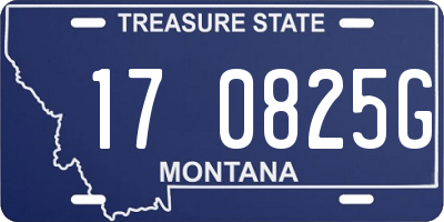 MT license plate 170825G