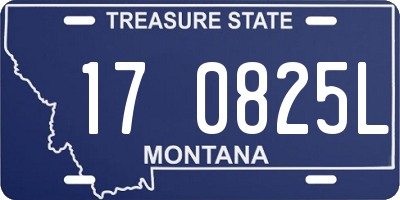 MT license plate 170825L