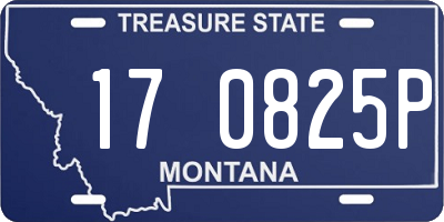 MT license plate 170825P