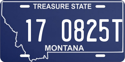 MT license plate 170825T