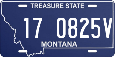 MT license plate 170825V