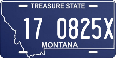 MT license plate 170825X