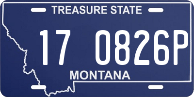 MT license plate 170826P