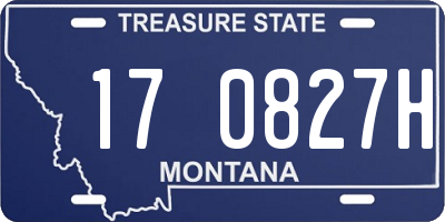MT license plate 170827H