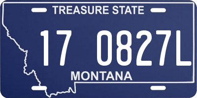MT license plate 170827L