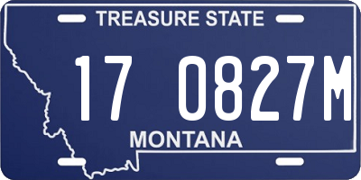 MT license plate 170827M