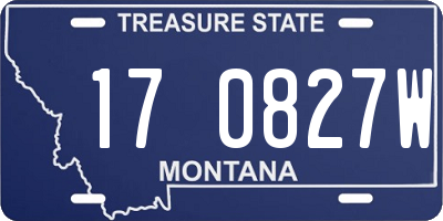 MT license plate 170827W