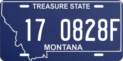 MT license plate 170828F