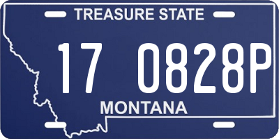 MT license plate 170828P