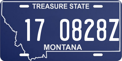 MT license plate 170828Z