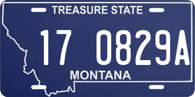 MT license plate 170829A
