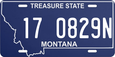 MT license plate 170829N
