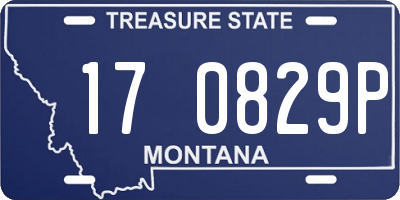 MT license plate 170829P
