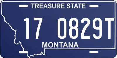 MT license plate 170829T