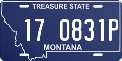 MT license plate 170831P