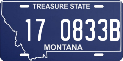 MT license plate 170833B