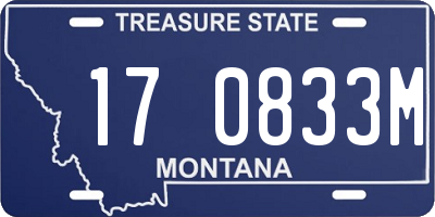 MT license plate 170833M