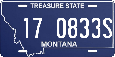 MT license plate 170833S
