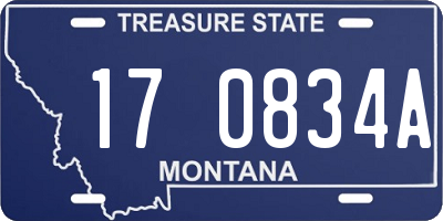 MT license plate 170834A