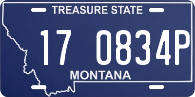 MT license plate 170834P