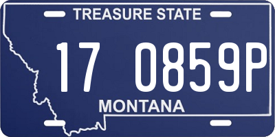 MT license plate 170859P