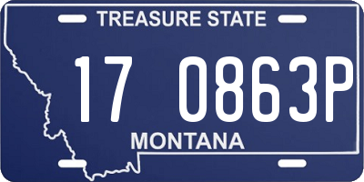 MT license plate 170863P