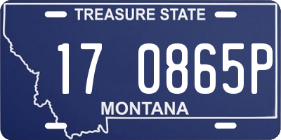 MT license plate 170865P
