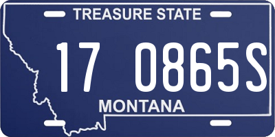 MT license plate 170865S