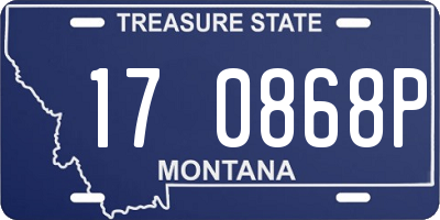 MT license plate 170868P