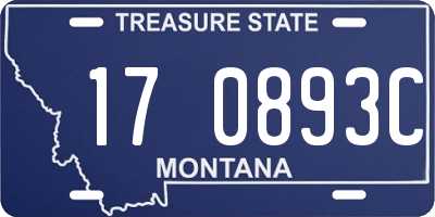 MT license plate 170893C