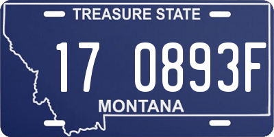 MT license plate 170893F