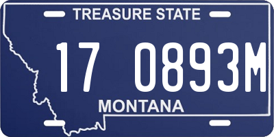 MT license plate 170893M