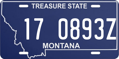 MT license plate 170893Z