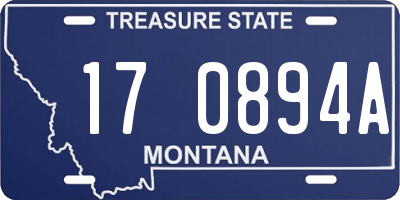 MT license plate 170894A