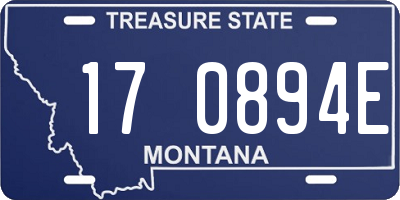 MT license plate 170894E
