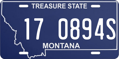 MT license plate 170894S