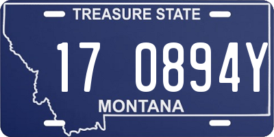 MT license plate 170894Y